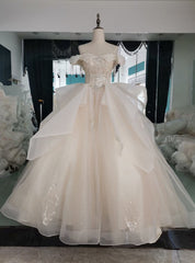 Champagne Tulle Off the Shoulder Appliques Beading Wedding Dress