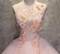 Pink Ball-Gown Organza Floor-Length Prom Dress with Appliqued